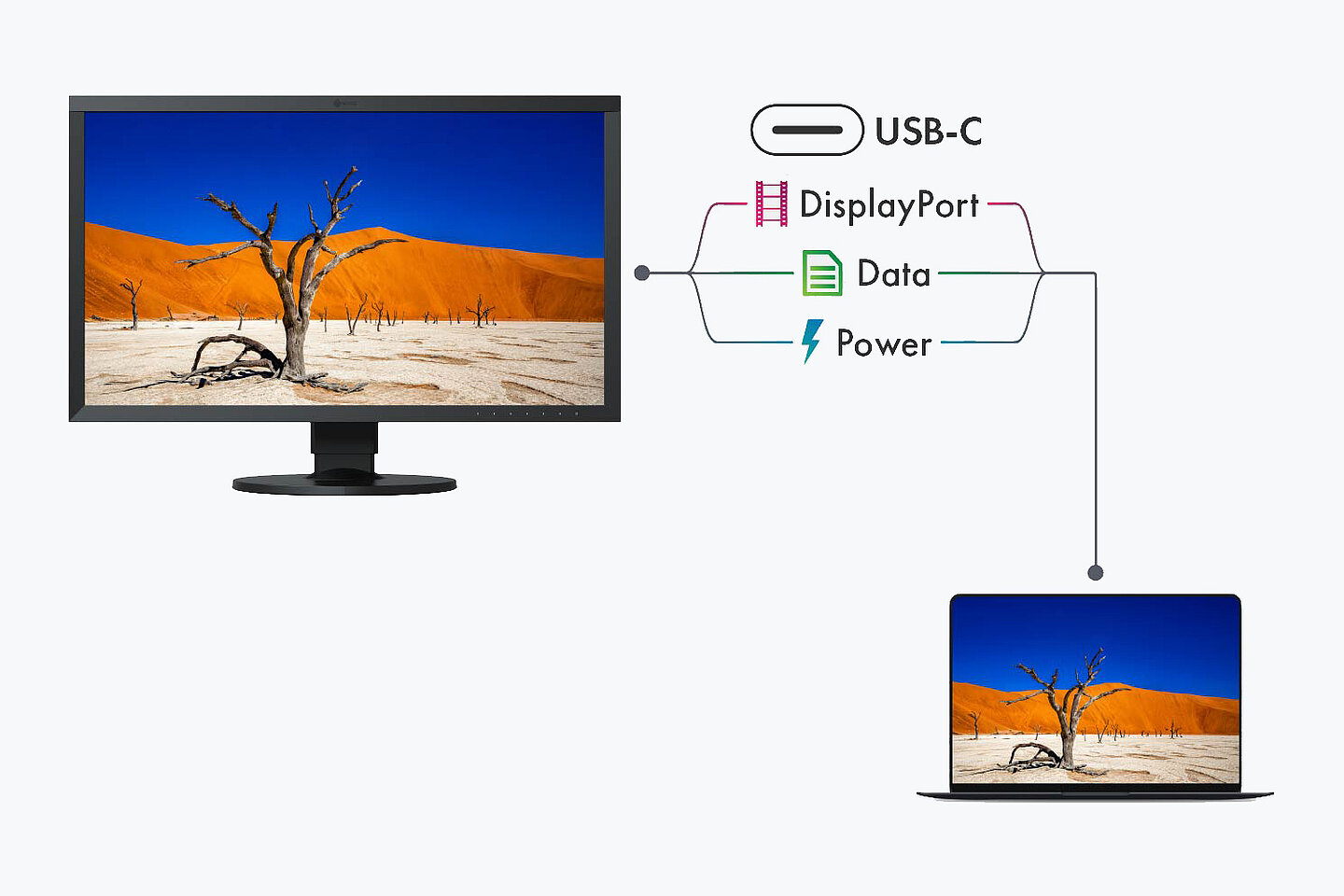 Eizo ColorEdge CS2400S