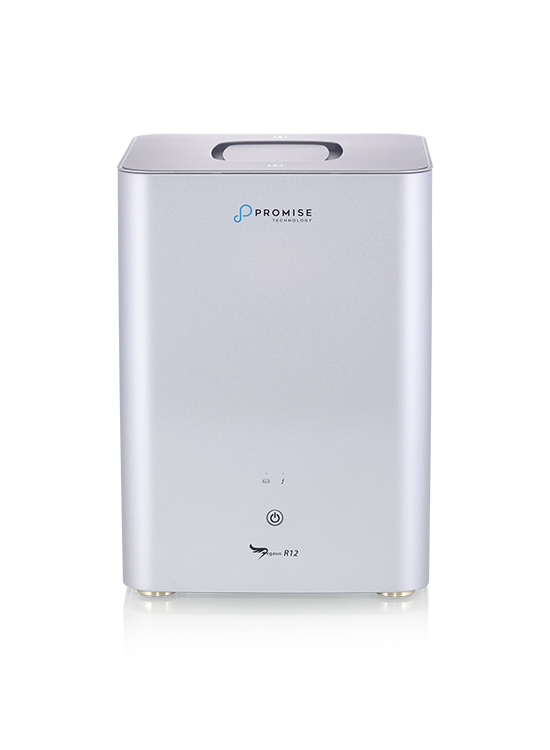 Promise Pegasus R12