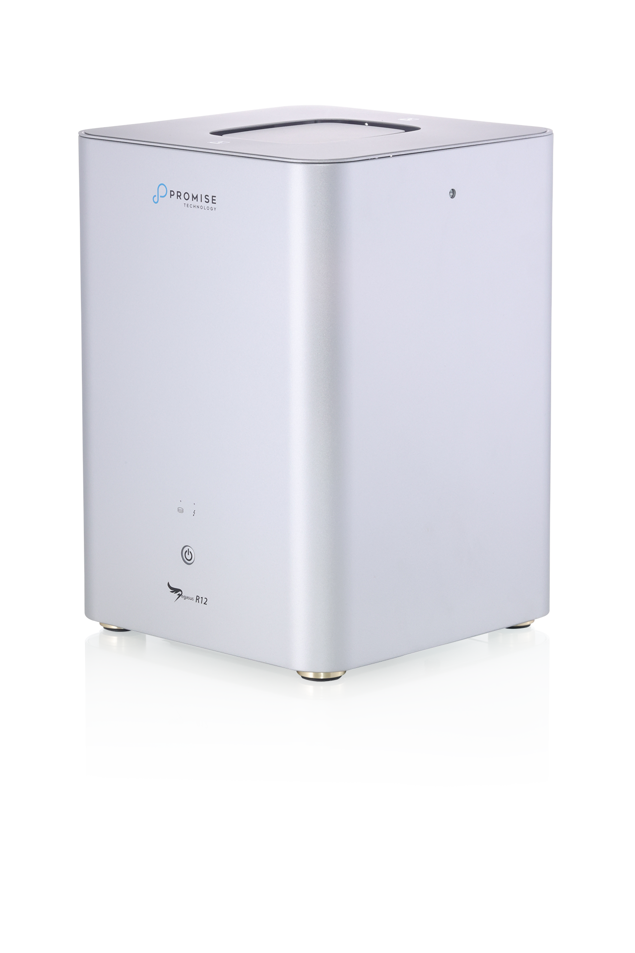 Promise Pegasus R12