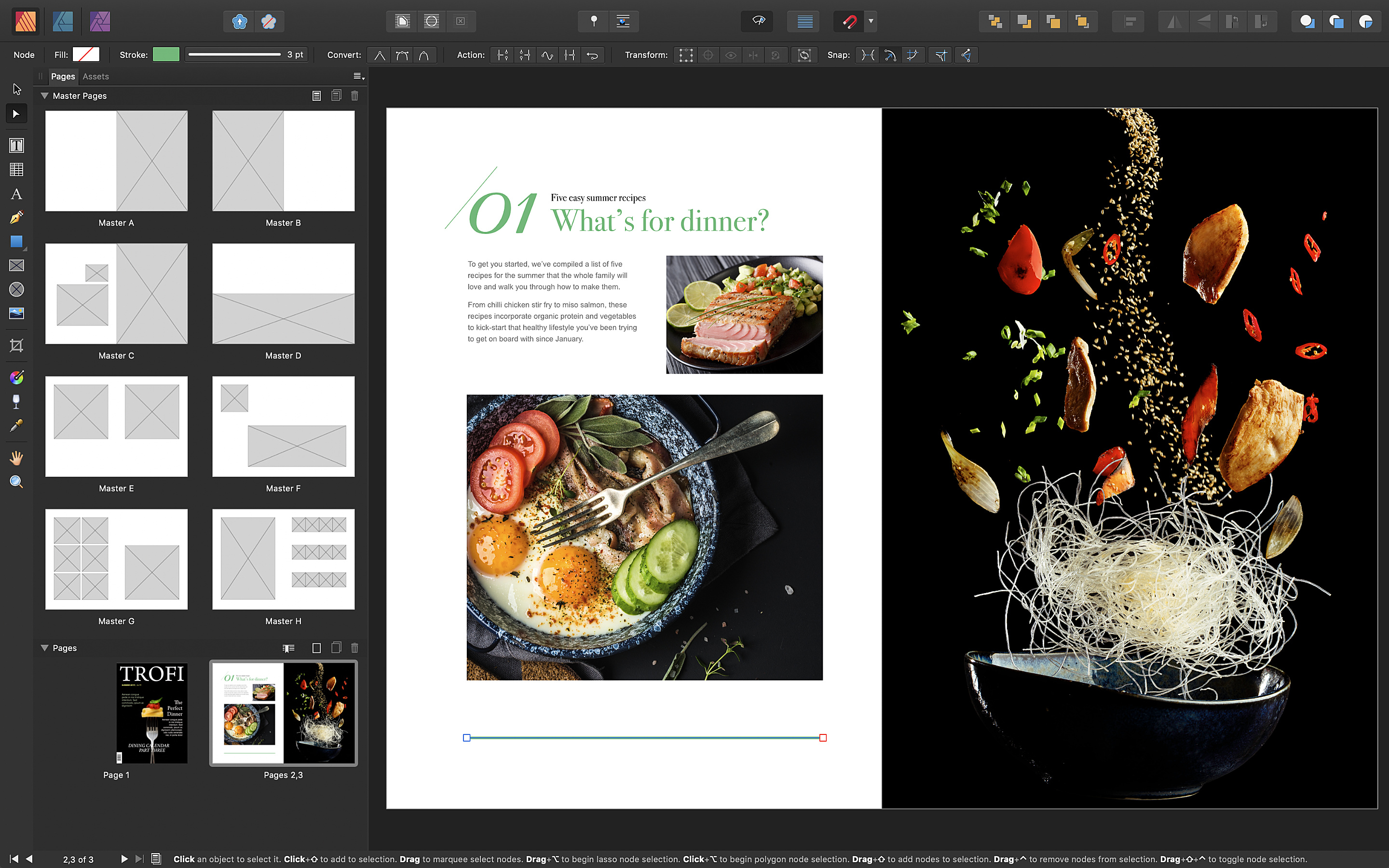 Affinity Publisher (LP)