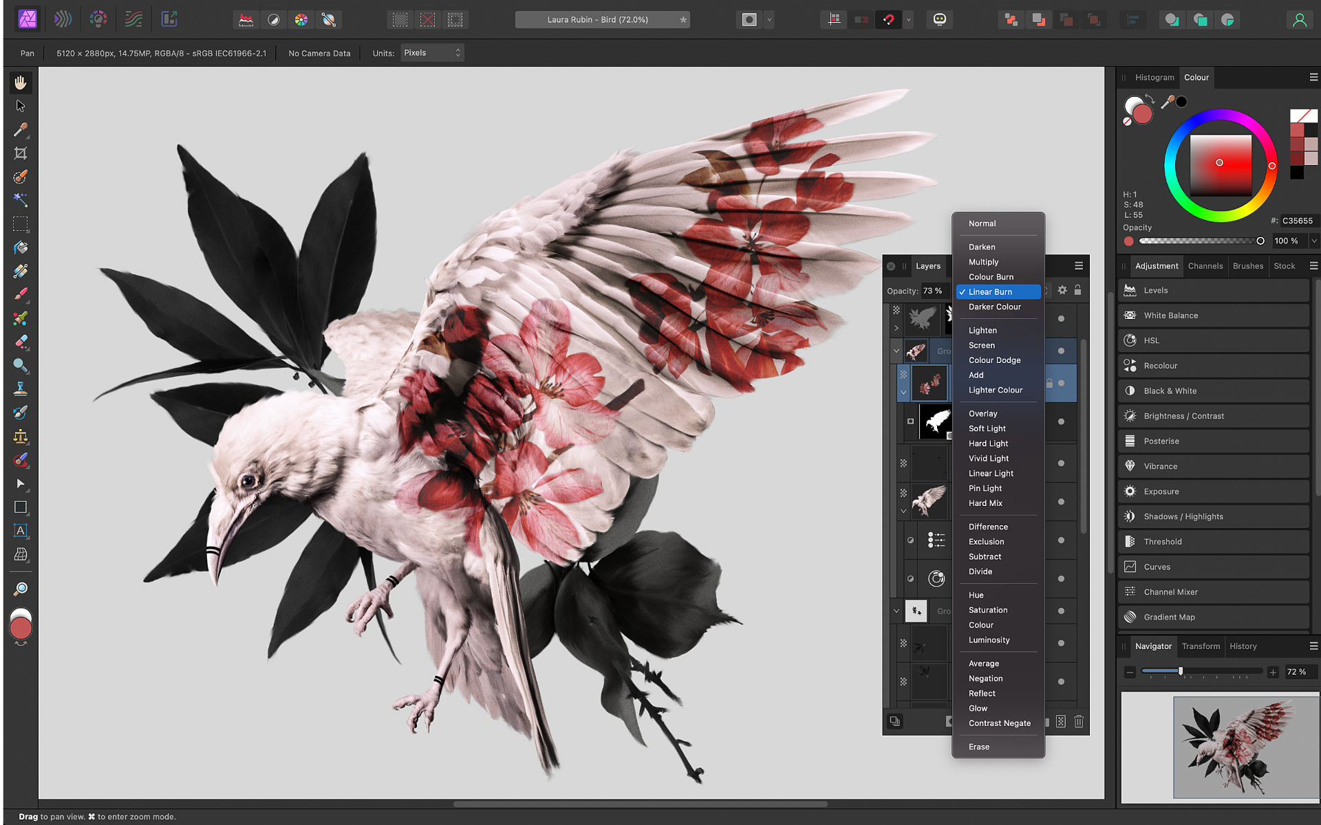 Affinity Photo v2 (LP)