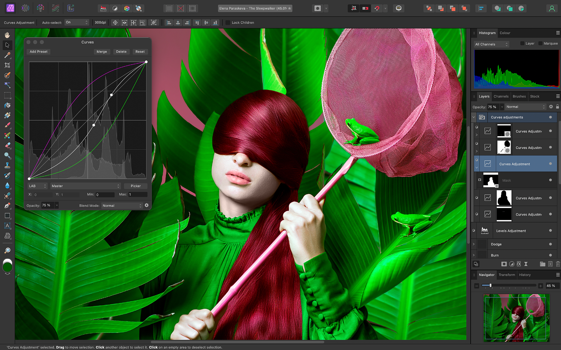 Affinity Photo v2 (LP)