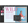 Affinity Publisher (LP)