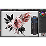 Affinity Photo v2 (LP)